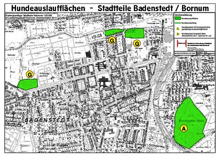 Vorschaubild für PDF-Dokument