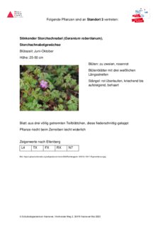 Vorschaubild für PDF-Dokument