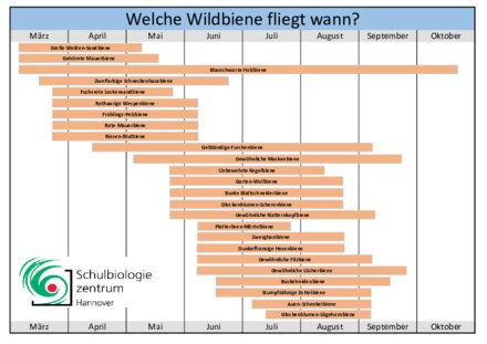 Vorschaubild für PDF-Dokument