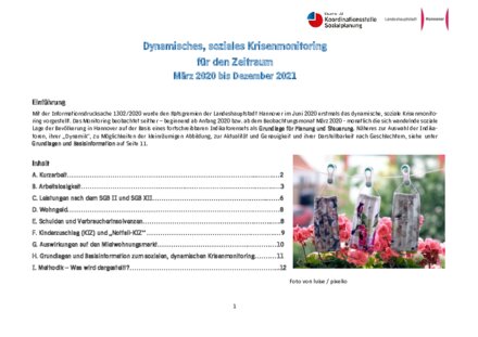 Vorschaubild für PDF-Dokument