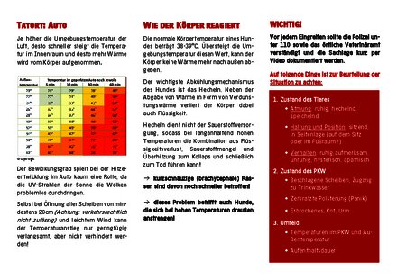 Vorschaubild für PDF-Dokument