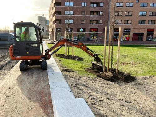 Junge Bäume vor einem Wohngebäude. Ein Bagger pflanzt sie ein.