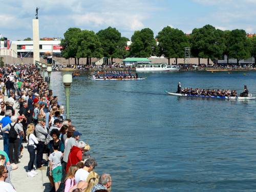 Vier Drachenboote laufen am mit vielen Zuschauern besetzten Nordufer des Maschsees ein.