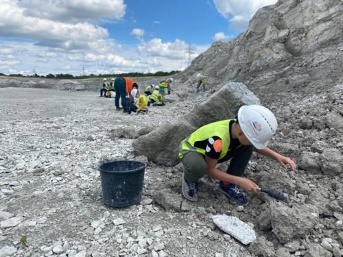 Ein Kind arbeitet mit Hammer in der Mergelgrube und gräbt Fossilien aus.