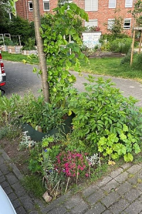 Baum mit Blumen