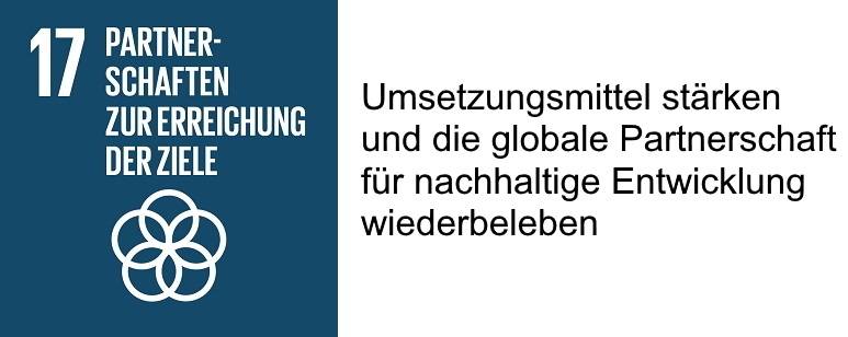 SDG 17 mit Beschreibung