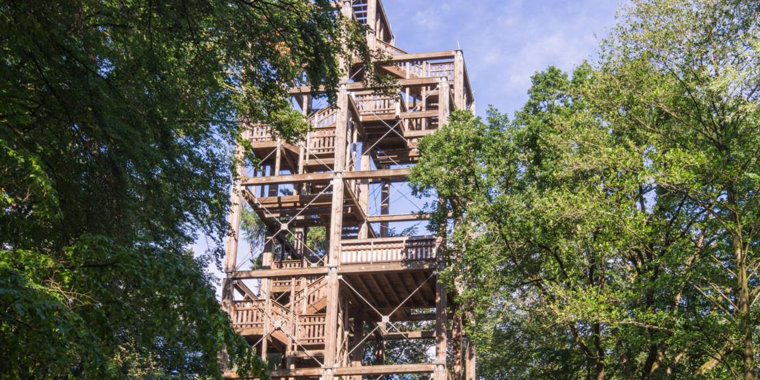 Ein Holzturm in der Eilenriede. 