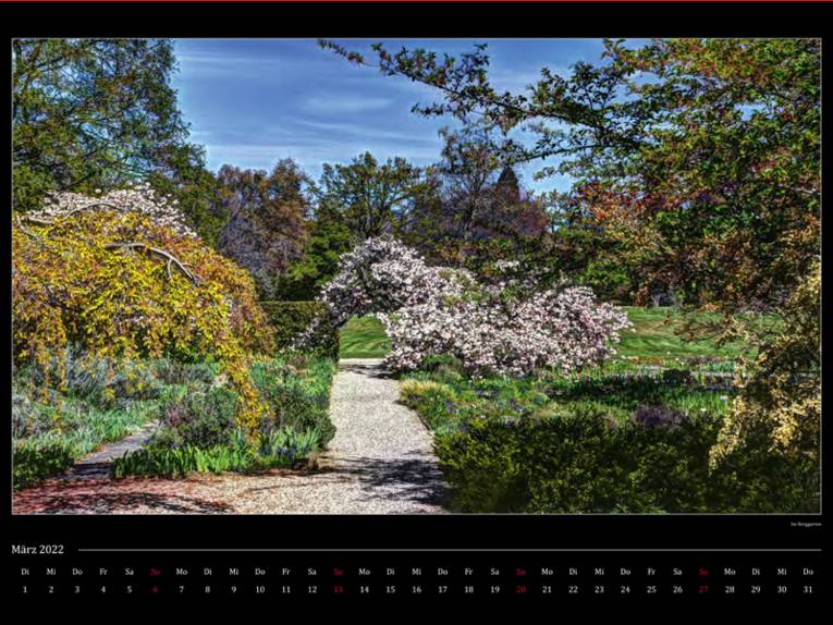 Büsche und Bäume in einem Park im Frühling.