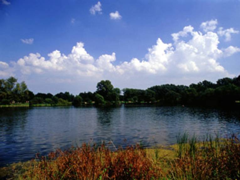 Der Ricklinger Kiesteich, umrandet von Wiese und Bäumen, blauer Himmel.