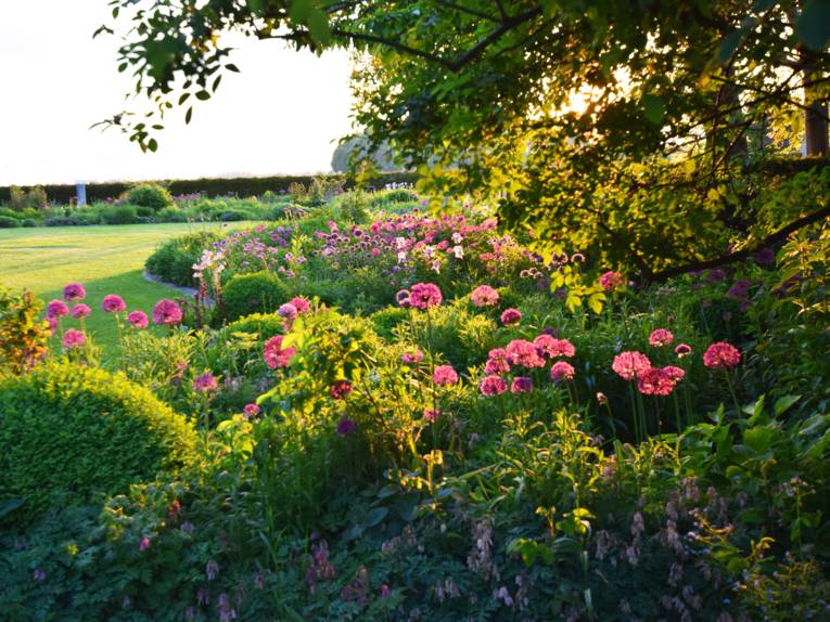 Eine Gartenlandschaft im Abendlicht.